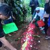 apih.eyang