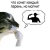 stepanio97