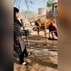 rubab.rehman3