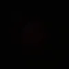 fotty_nz