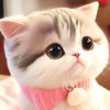 noviaaa_037
