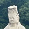 user4510214636028
