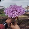 chinthaka_nehasna