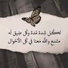 user4990167431617