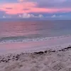 beachgirl.star_