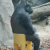 untruckh