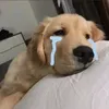Khóc 😭