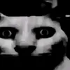 skebobikys0