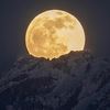 catmoon251