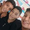 fedi8331