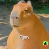 capi87612