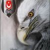 ahmetahmetbesalu