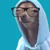 noytnoyt69