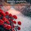 katya6422
