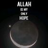 isaac.moalim