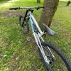 canyon_dh_owner