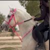 aladwani035