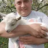 marius.ghivnici