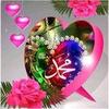 muhammad.shakir461