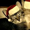 alexi__183838