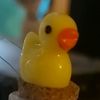 duckdoescosplay