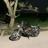 _buserr135cc