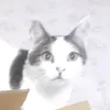 mpoumpoulitsas