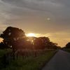laura_v269
