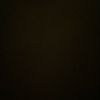 user1737371231