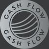 cash_flowse