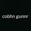 cobhnprime