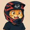 felix_z123