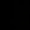 dani_flaw2