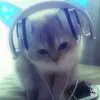 f3llowk1tty_