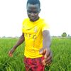 user8320194917490