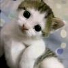 lupyyyy01