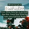 gegy.fathy7