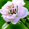 user87025633254980