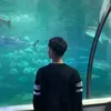 toanlatuii1