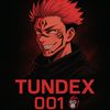 tundex.theplug