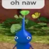 haotrn33