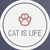 Cat Is Life