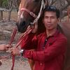 user3318813668368