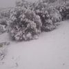 asrm.zk
