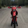 shifty.450