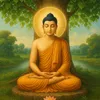Bình tĩnh sống