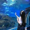 au_lisa5485