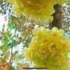 user30109314839140