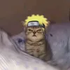 aikai.jr