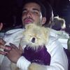 aboudan00